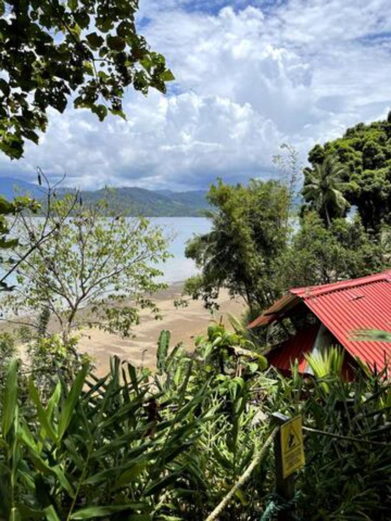 Ecolodge El Arca Bahia Solano Exterior foto